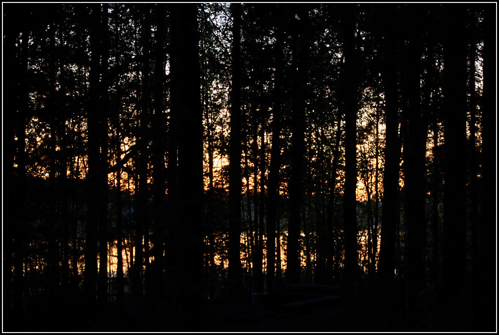 Valo-4.jpg - Iitti, Puustellinsaari 31.5.2008